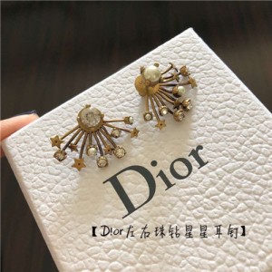 디올 귀걸이 D9127 2020/신상 (정품과 비교가능한 퀄리티)