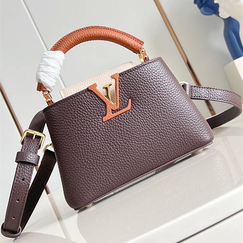 루이비통 카푸신 미니 M12952 2025/신상