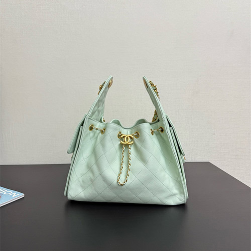 샤넬 호보백 AS1051 2025/신상