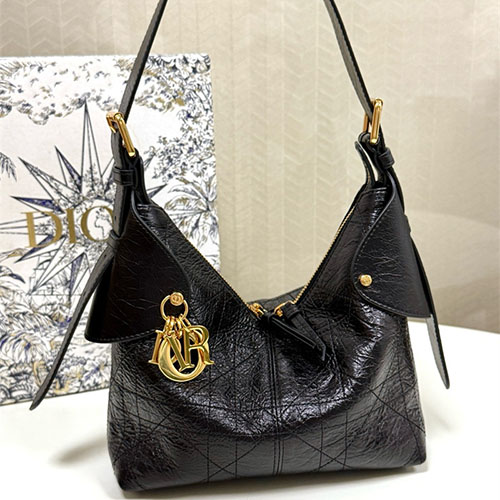 디올 보야지 스몰 백 D11222 2025/신상