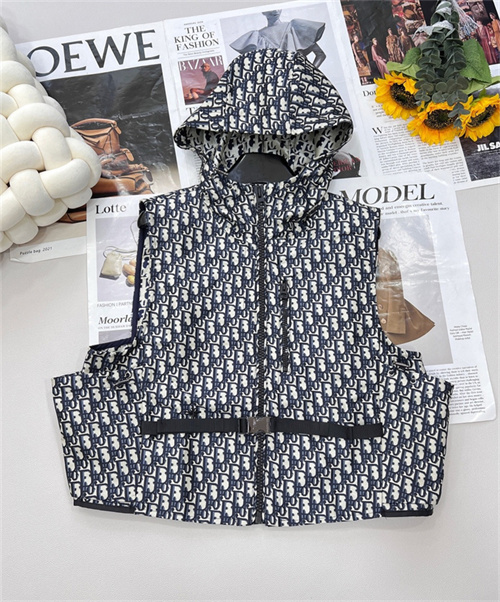 디올 후드 조끼 D42805 2026/신상